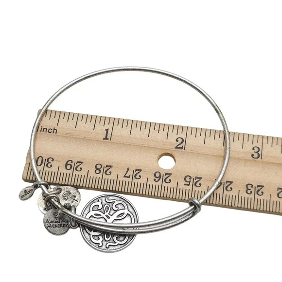 2013 Alex and Ani Path of Life Charm Bangle Bracelet Silver Tone Vintage - Picture 5 of 5